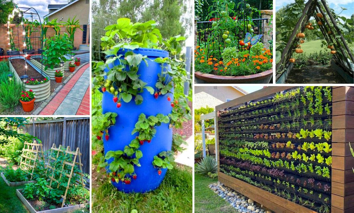 best easy gardening ideas with vegetables