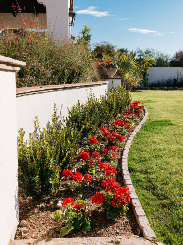 Brick Edging Brilliance: 11 Styles to Transform Your Garden