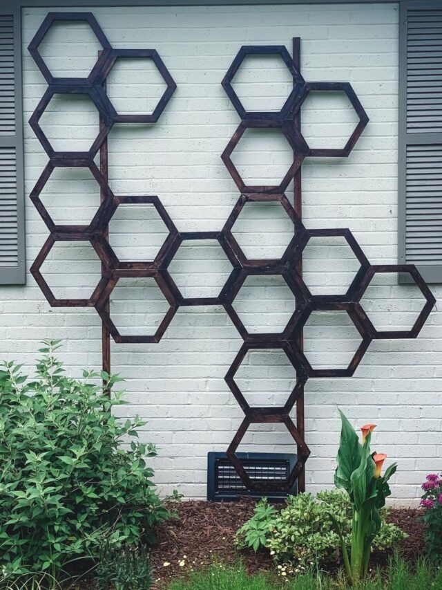 Spruce Up Your Garden: 18 Easy DIY Trellis Projects