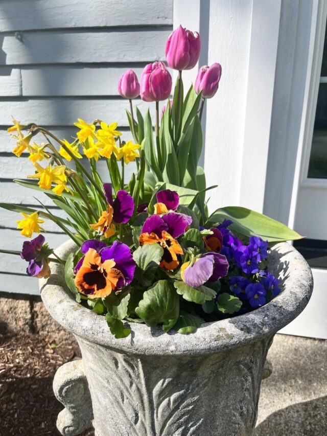 24 Must-Try Planter Ideas to Revitalize Your Spring
