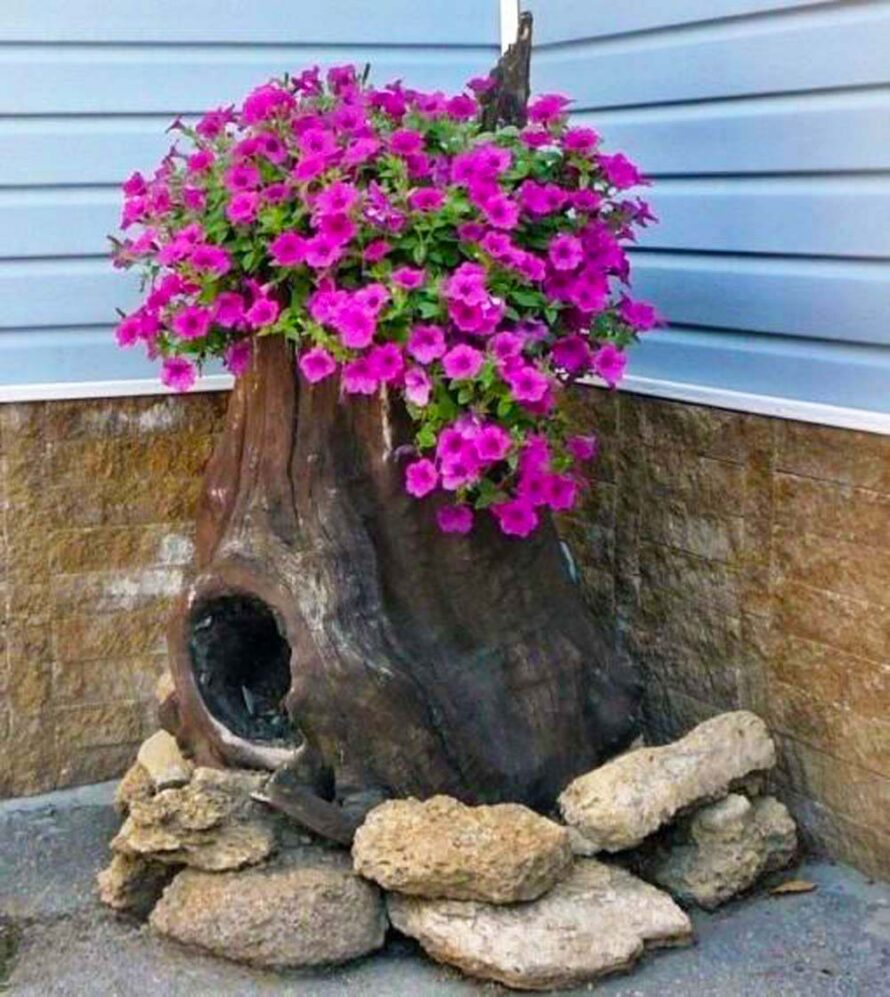 cozy garden ideas 17