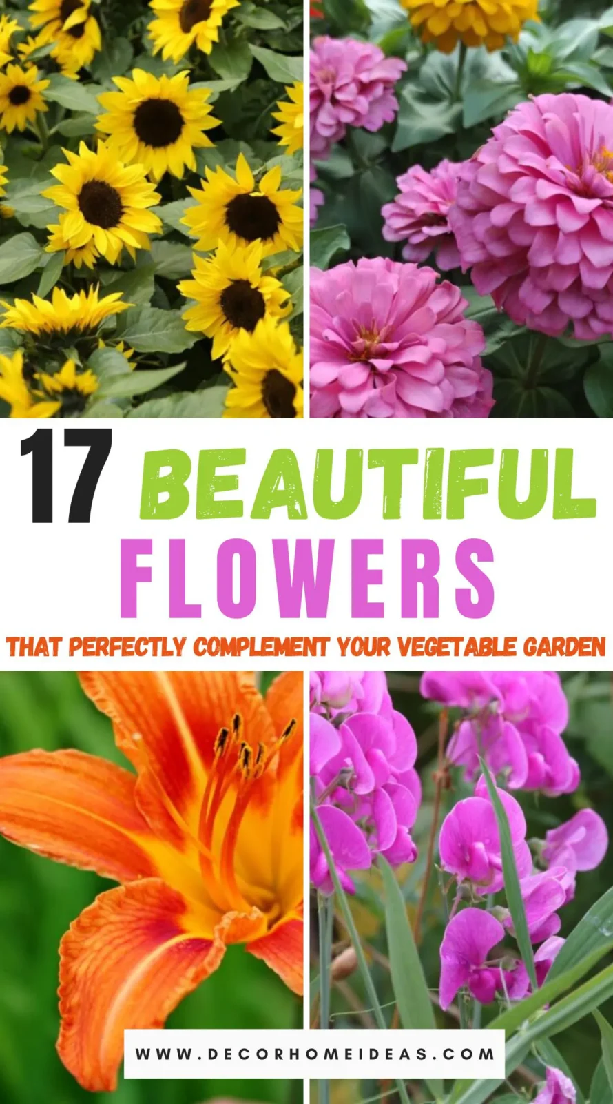 Discover 17 beautiful flowers that not only enhance the aesthetic of your vegetable garden but also promote healthier growth and natural pest control. Learn which blooms can transform your garden into a vibrant and productive oasis.