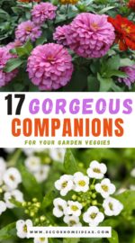 top flowers for vegetable garden