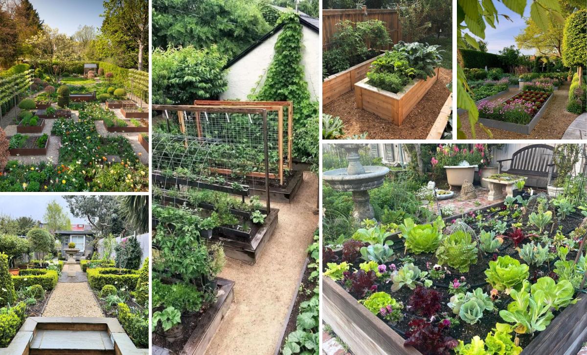 backyard garden layout ideas