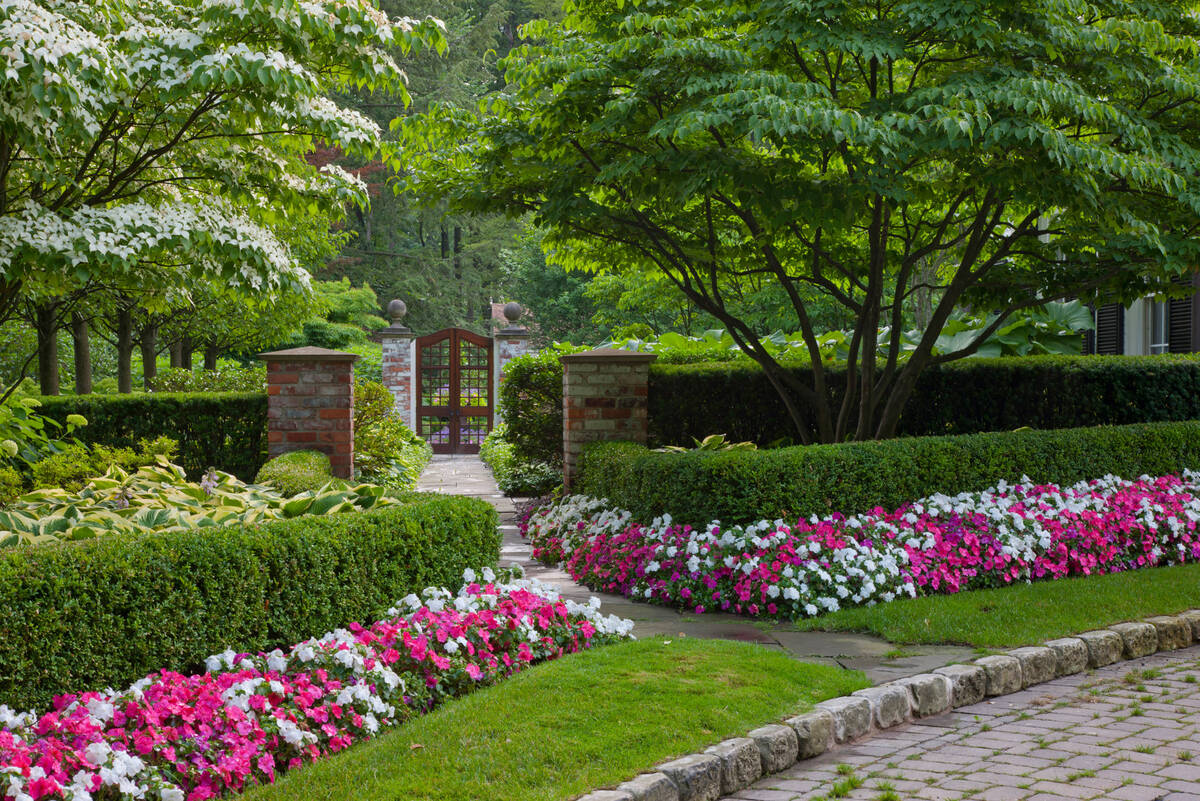 fall landscaping ideas for a front yard transformation 8