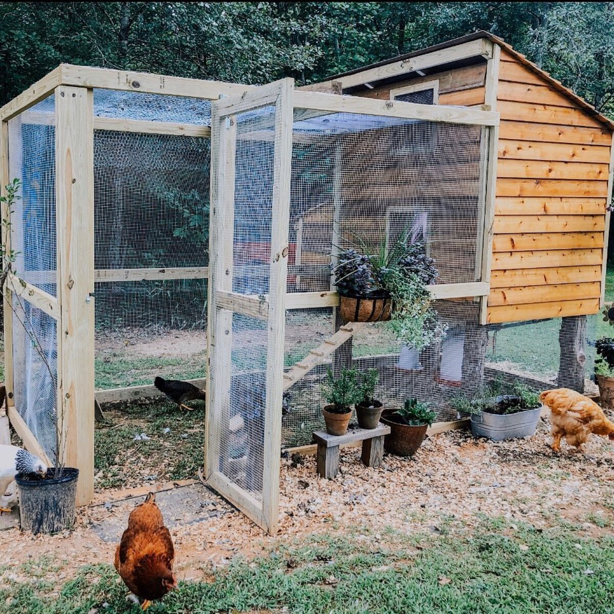 simple and efficient chicken coop designs 11