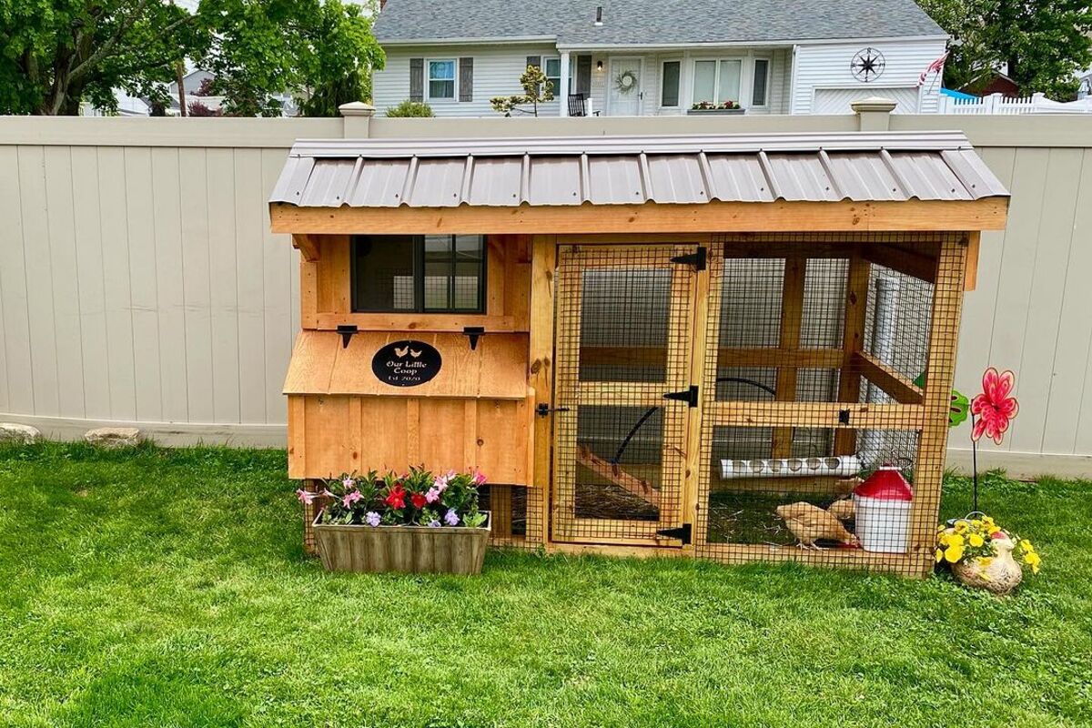 simple and efficient chicken coop designs 12