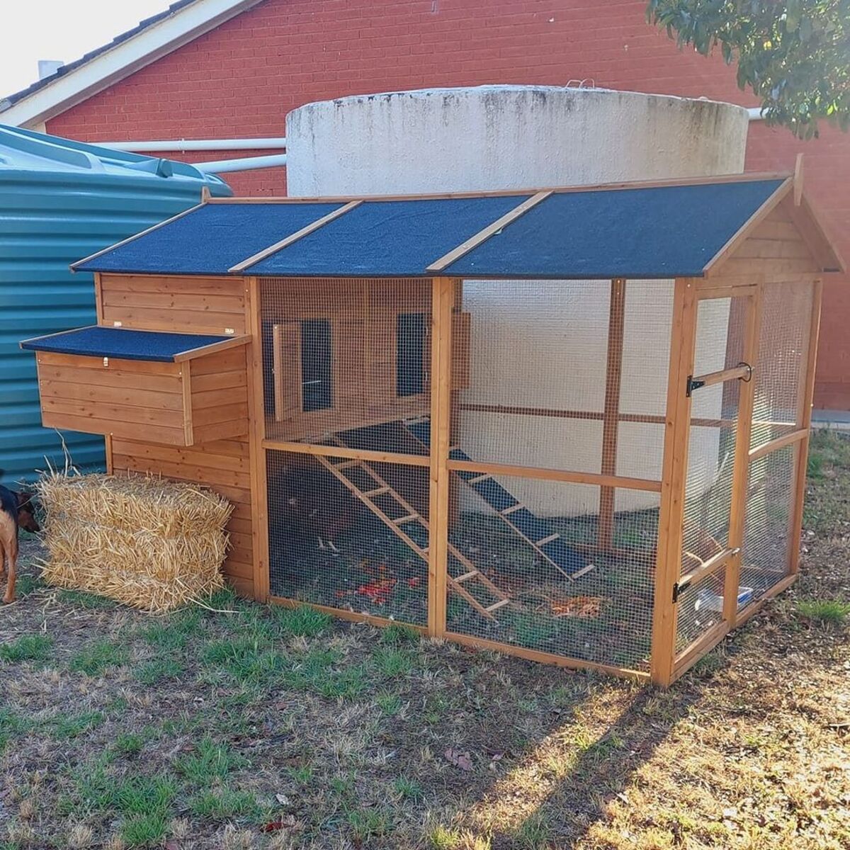 simple and efficient chicken coop designs 3
