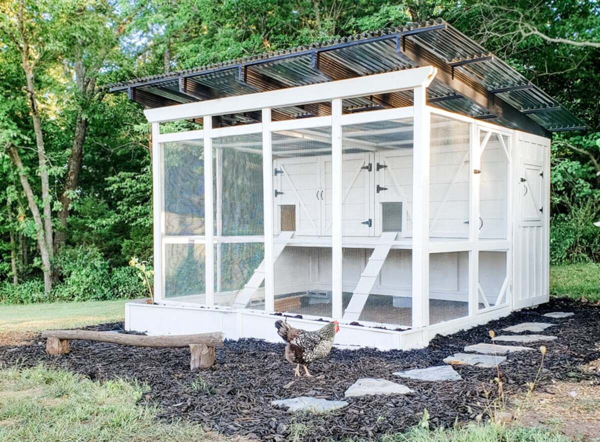 simple and efficient chicken coop designs 4