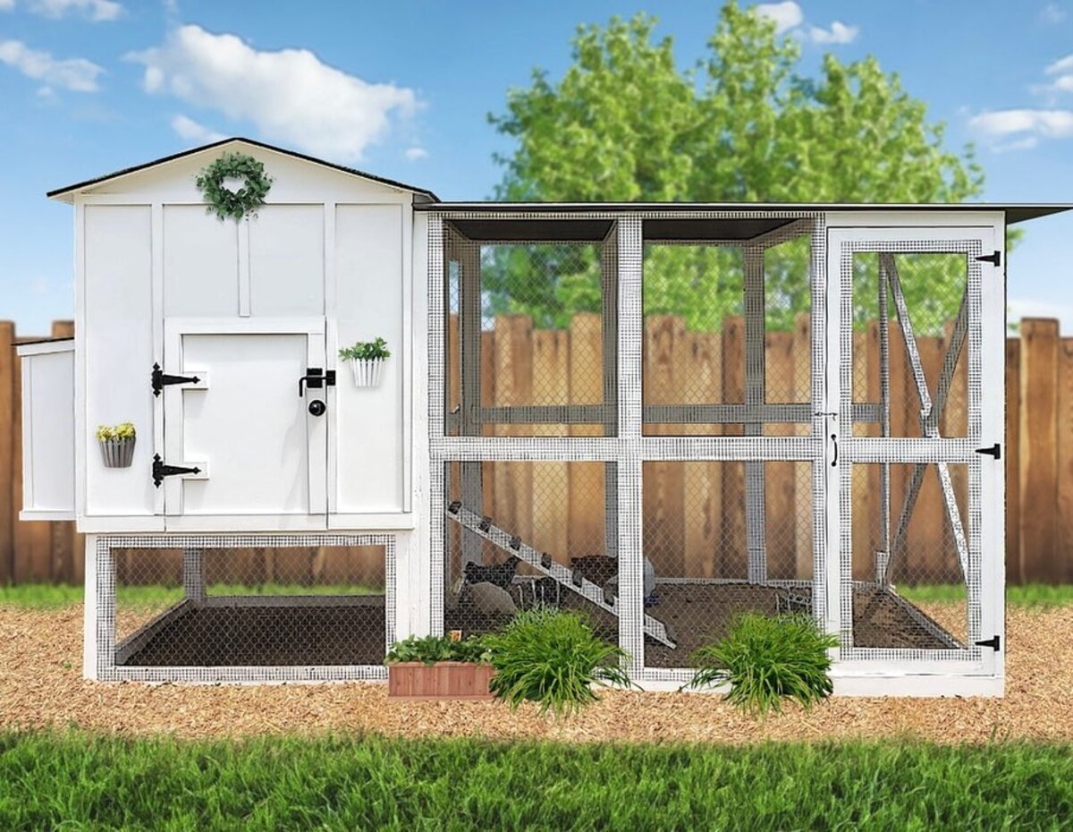 simple and efficient chicken coop designs 6