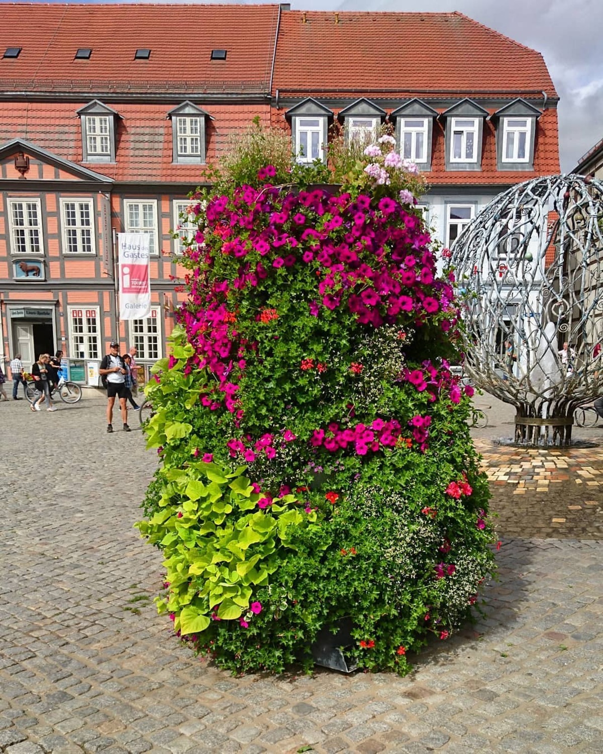 creative methods to admire the charm of petunias 19