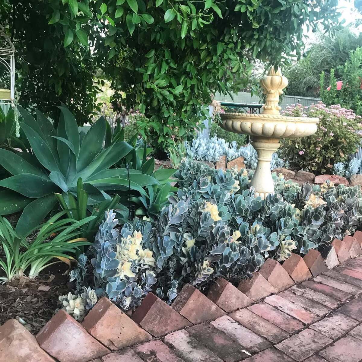 beautiful brick garden edging ideas 3
