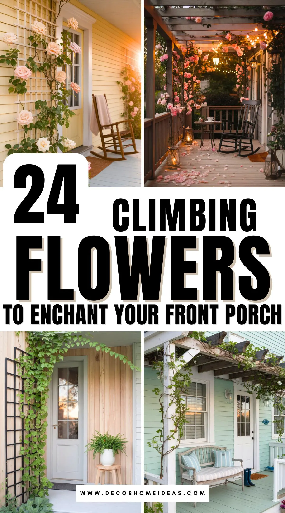 Let your porch feel like a fairytale garden with these 24 dreamy climbing flowers. From soft pastels to rich blooms, these beauties add a storybook charm that enchants everyone who passes by. Explore unique varieties that climb with grace and bring endless character and allure to your home’s entrance.