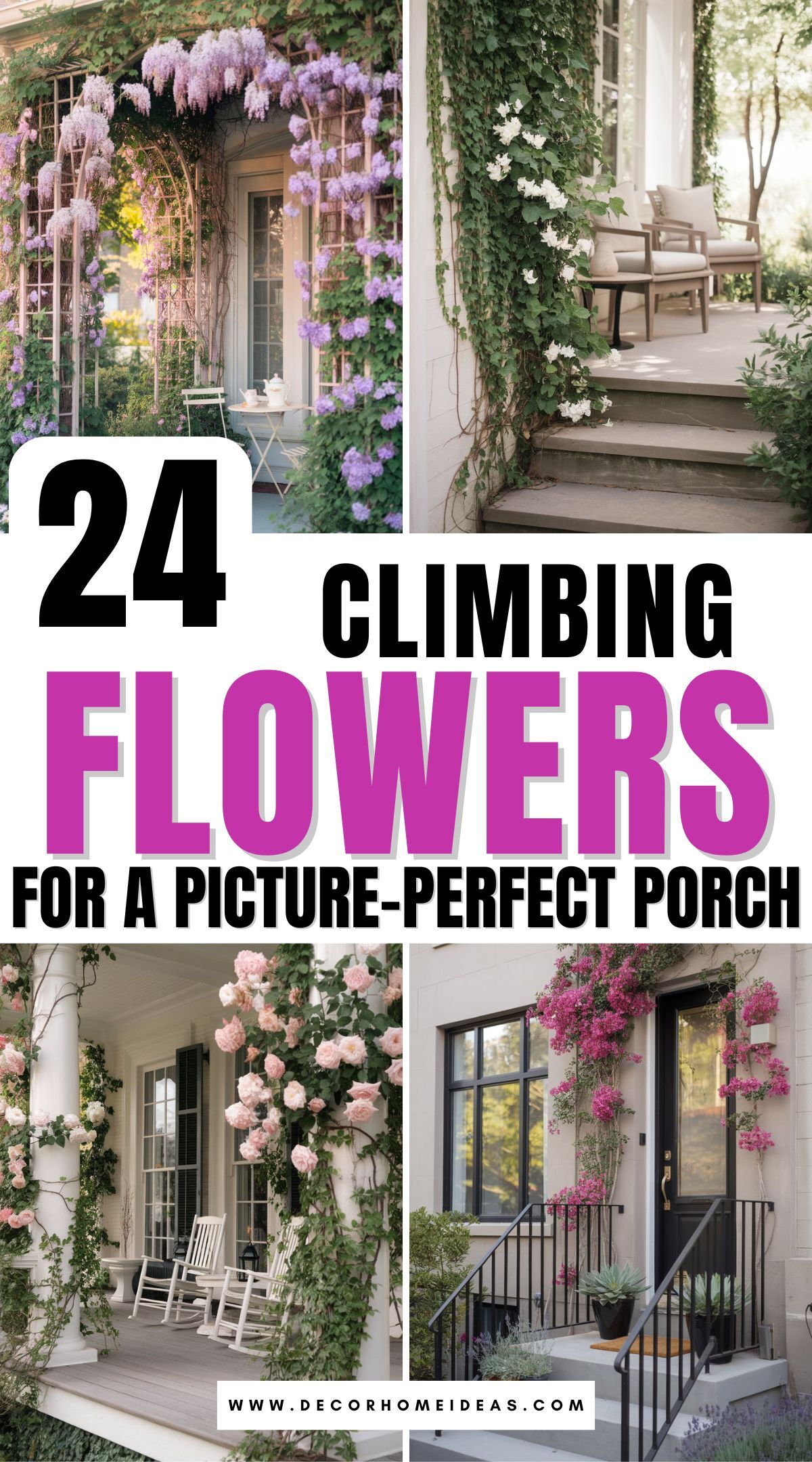 best climbing flowers for porch 2