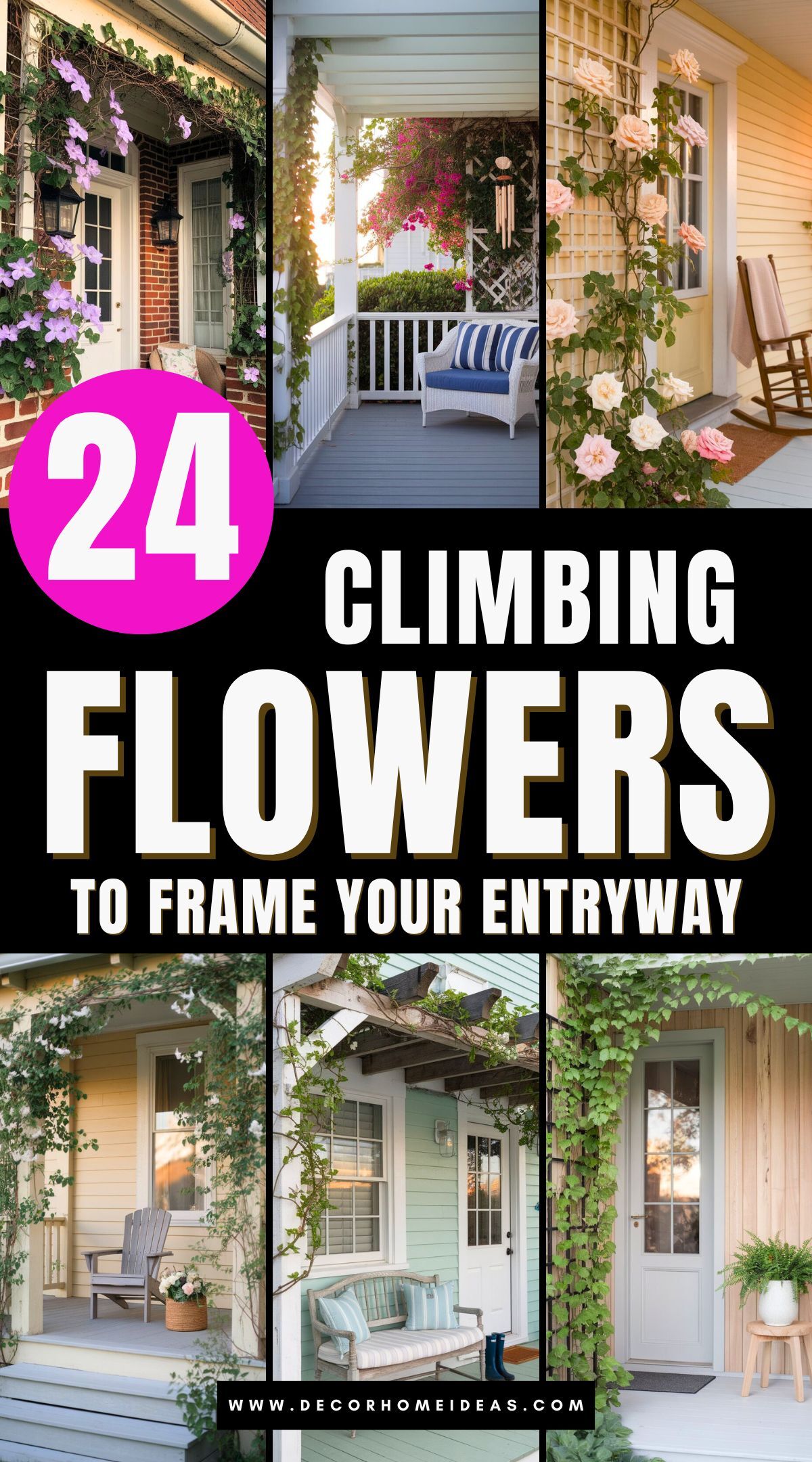 best climbing flowers for porch 3