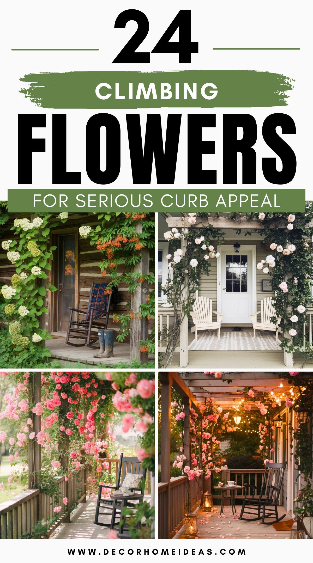 best climbing flowers for porch 4