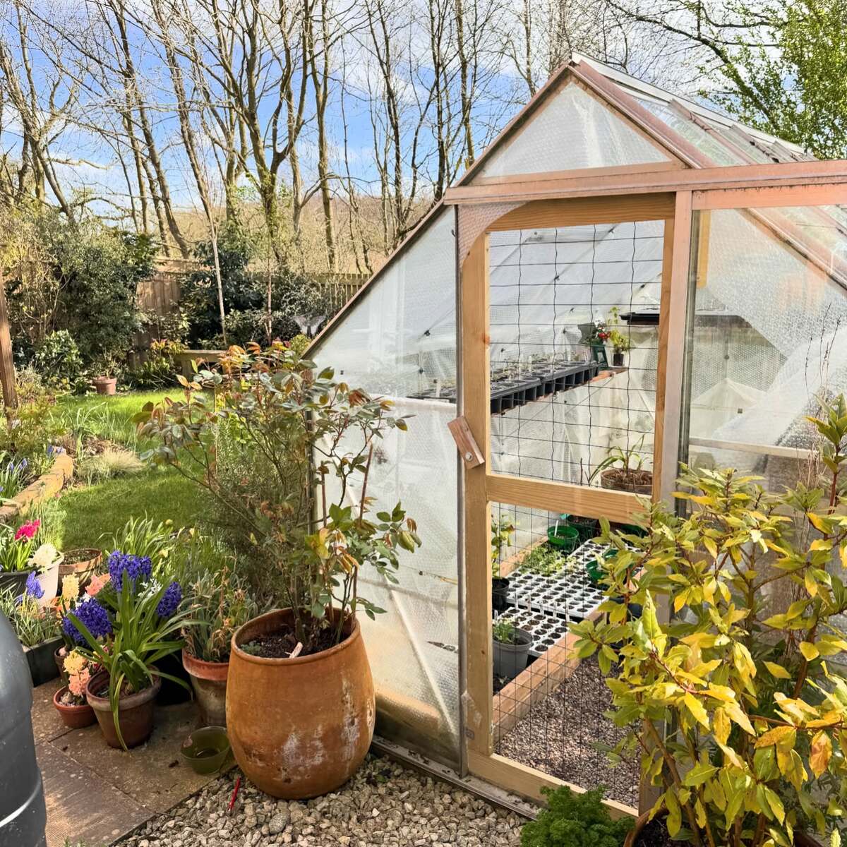 cheap and easy diy greenhouse ideas for backyard 14