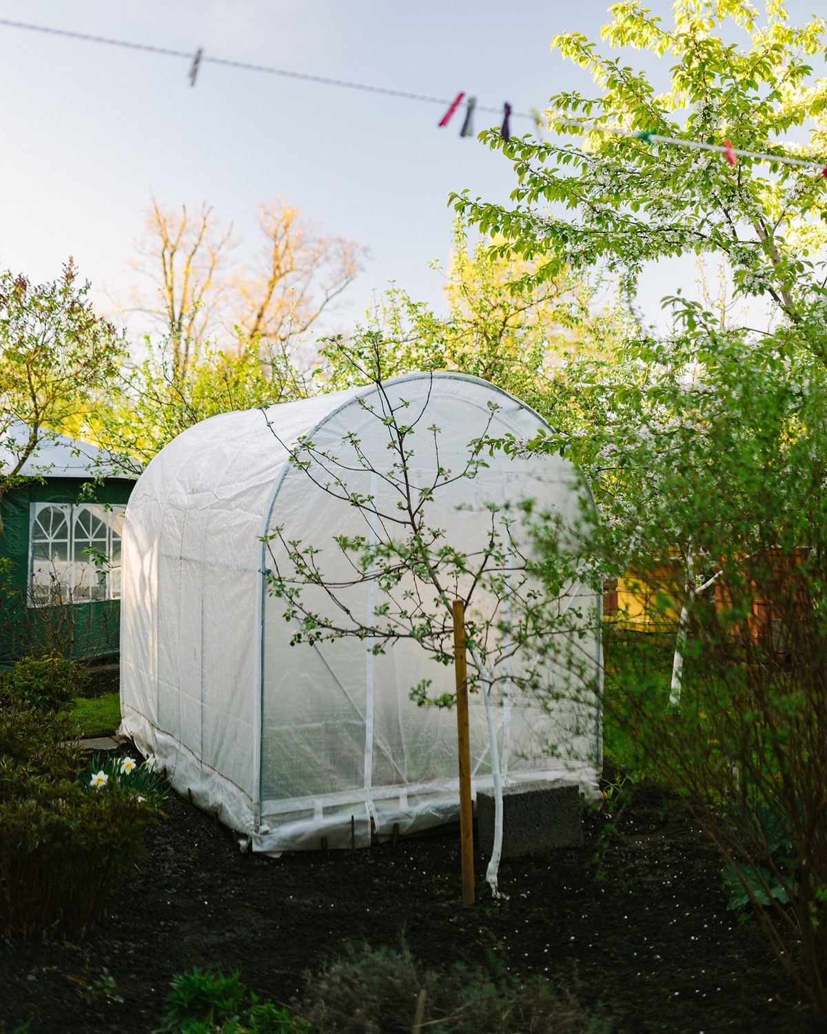 cheap and easy diy greenhouse ideas for backyard 24