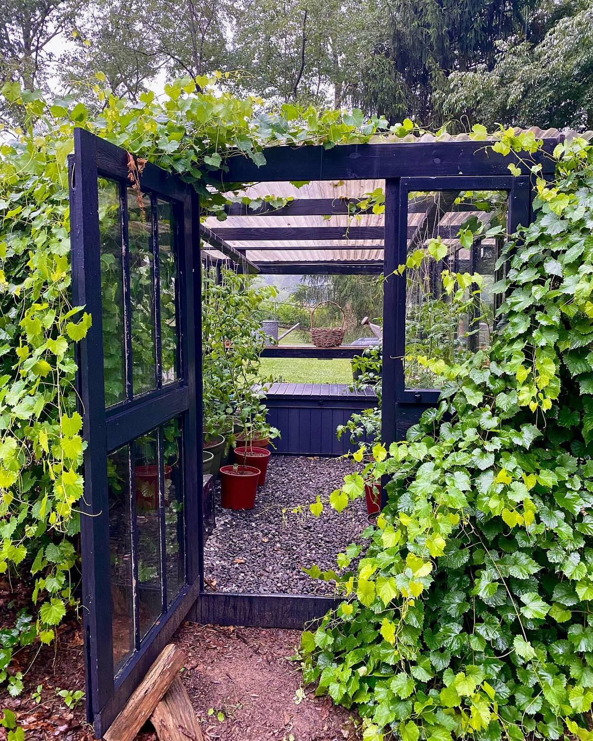 cheap and easy diy greenhouse ideas for backyard 3