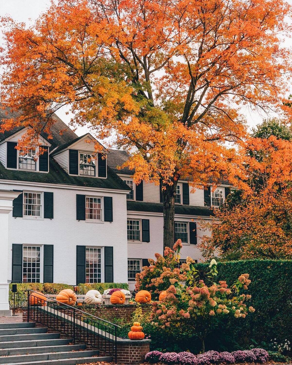 gorgeous fall color schemes for exterior 6