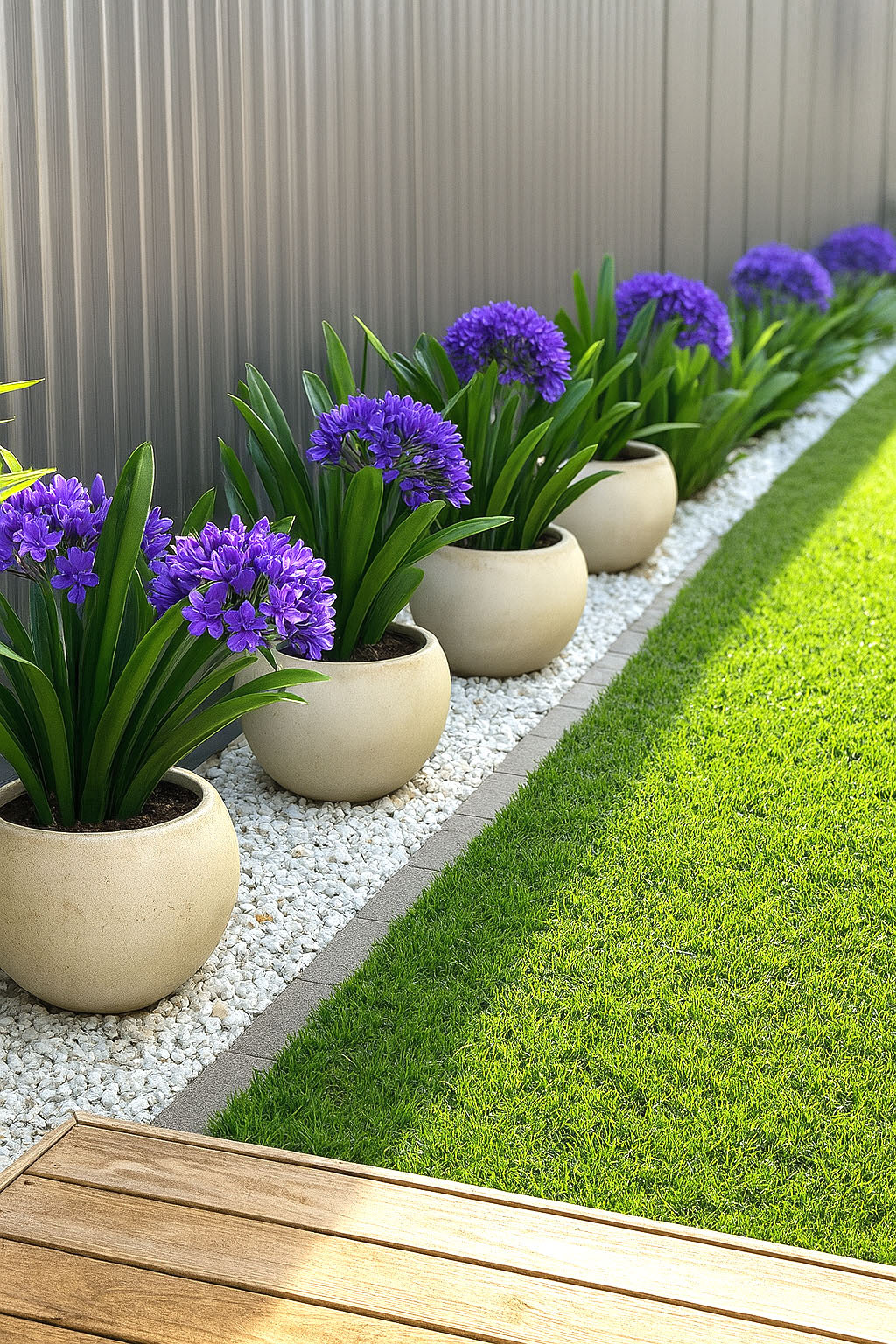 purple flowers along a fence in planters