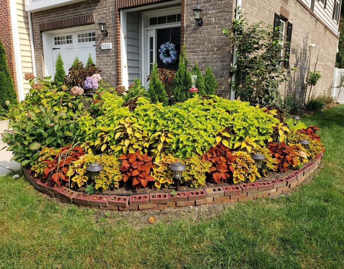 simple front yard landscaping ideas 16