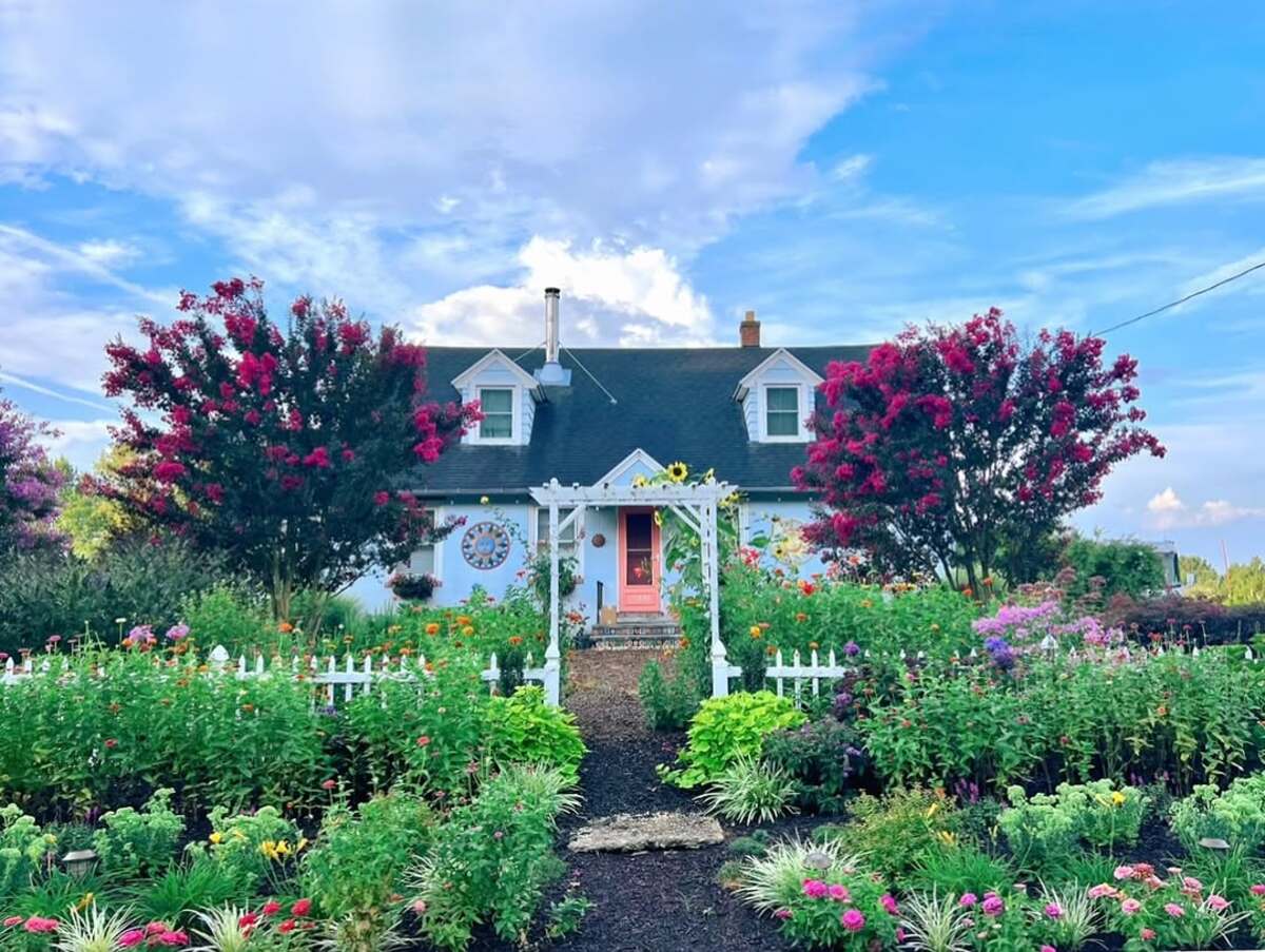simple front yard landscaping ideas 18