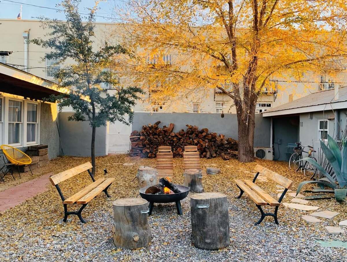 stunning autumn trees 12