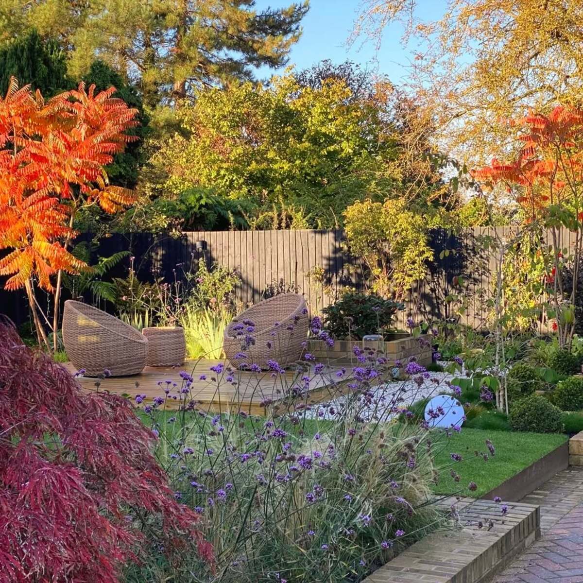 stunning autumn trees 18