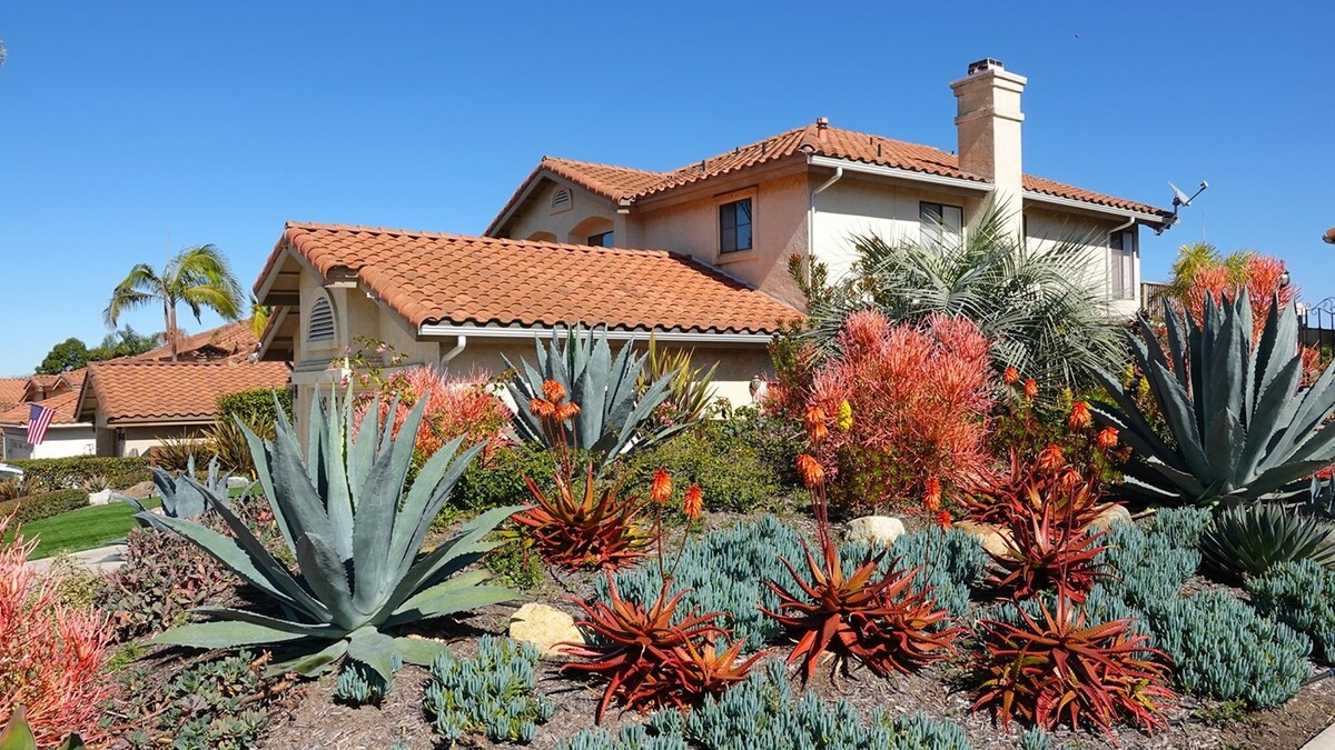 stunning desert landscaping ideas for front yard 10