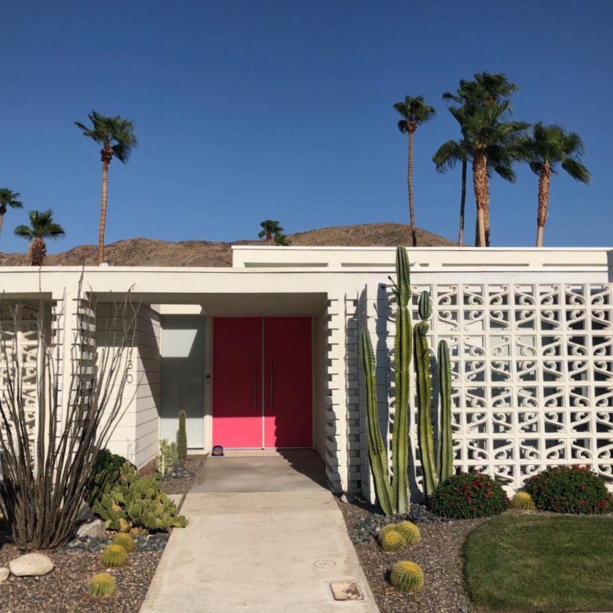 stunning desert landscaping ideas for front yard 13