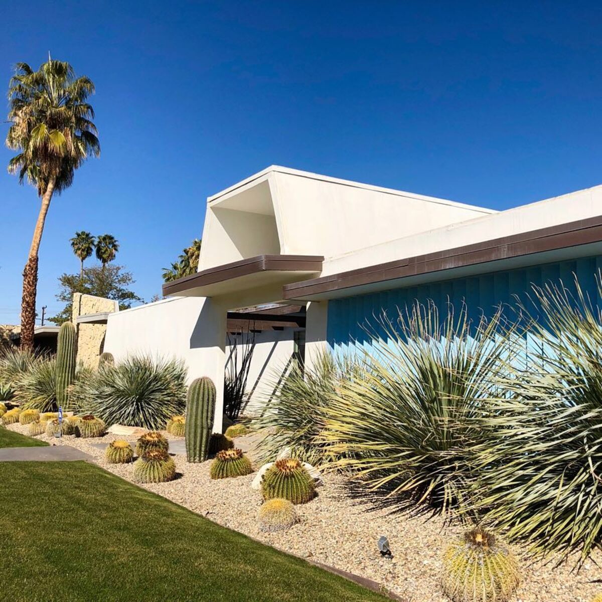 stunning desert landscaping ideas for front yard 15