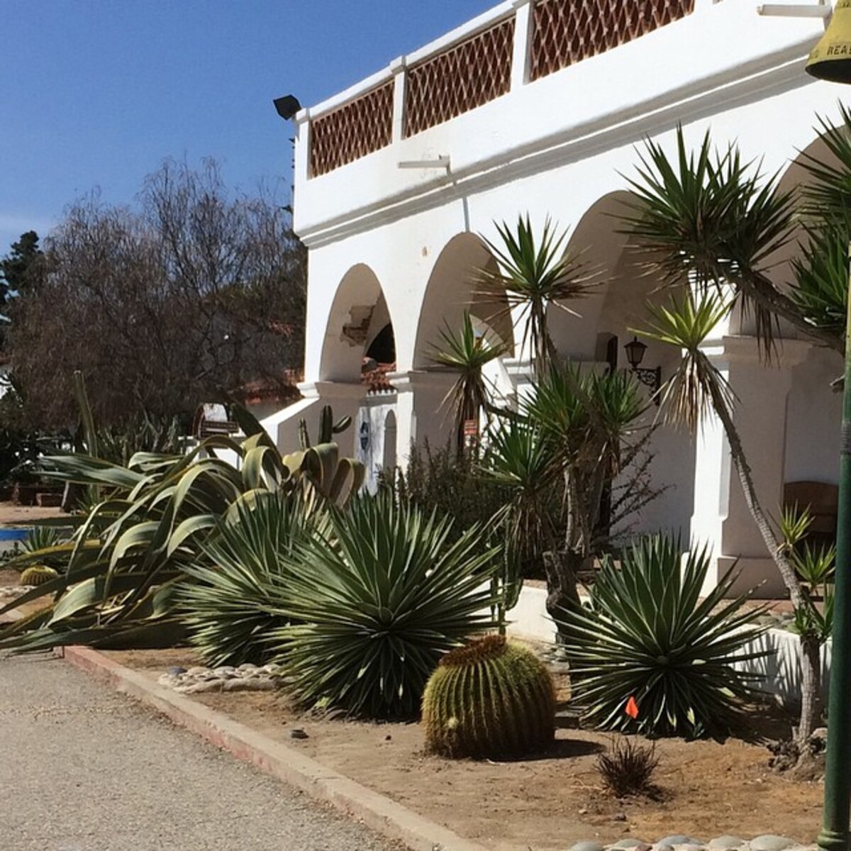 stunning desert landscaping ideas for front yard 17