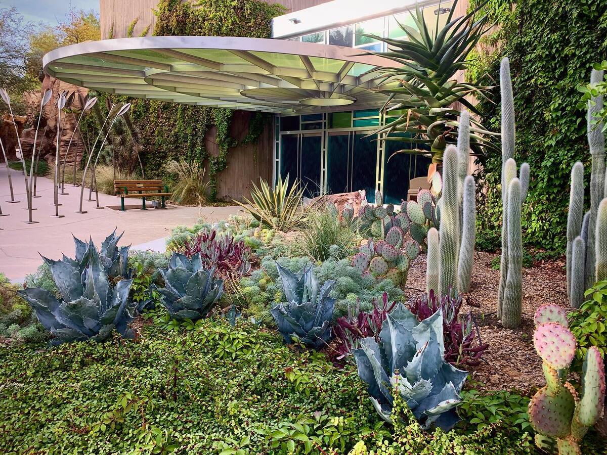 stunning desert landscaping ideas for front yard 19