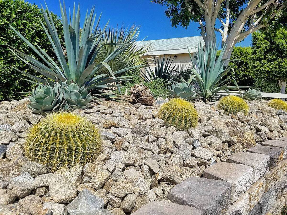 stunning desert landscaping ideas for front yard 23