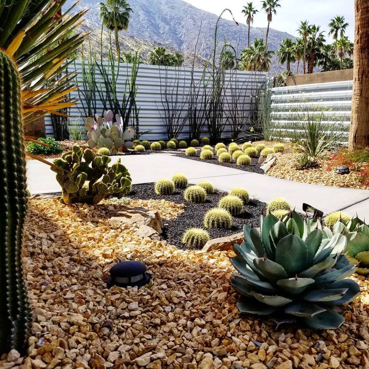 stunning desert landscaping ideas for front yard 3