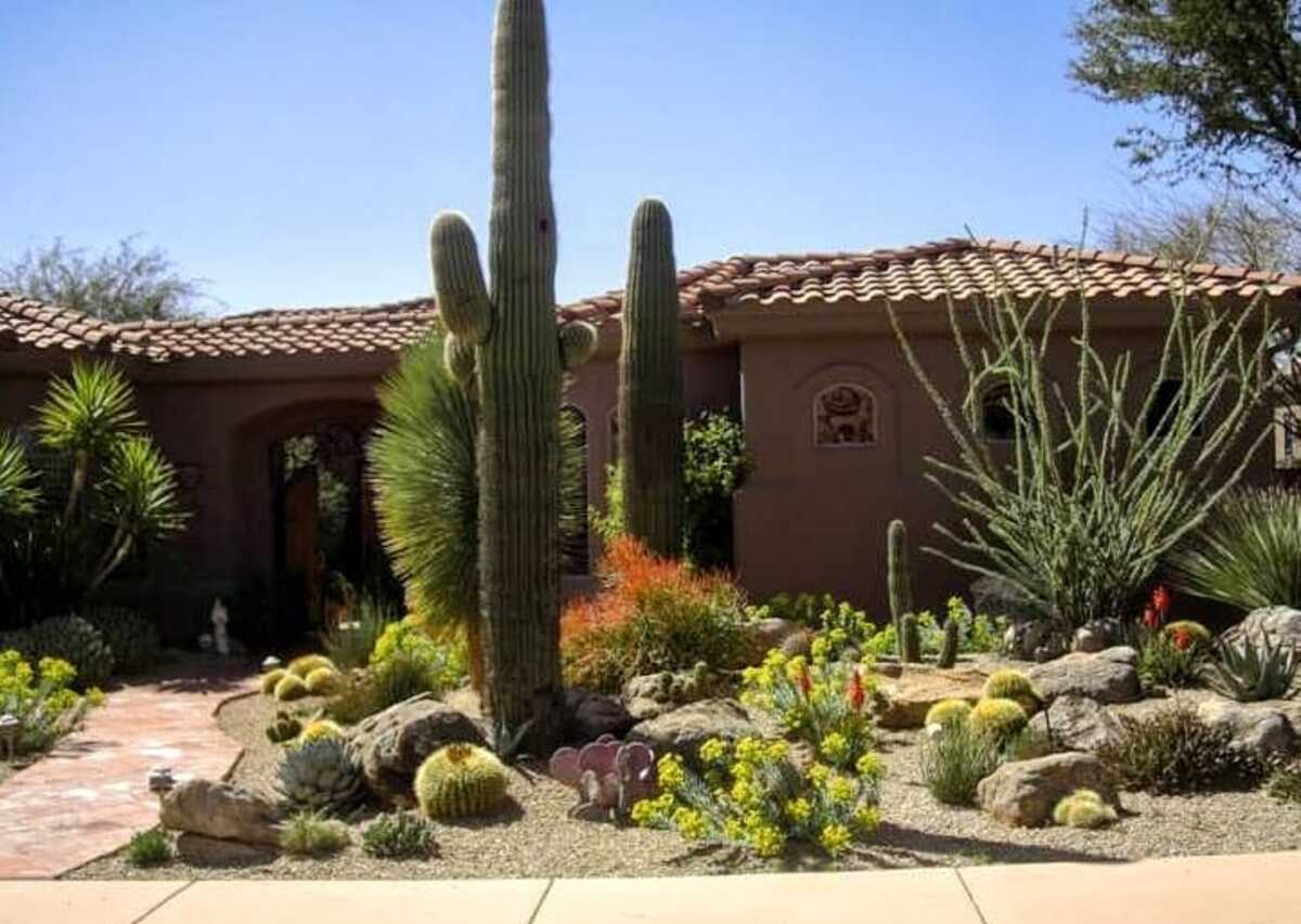 stunning desert landscaping ideas for front yard 5