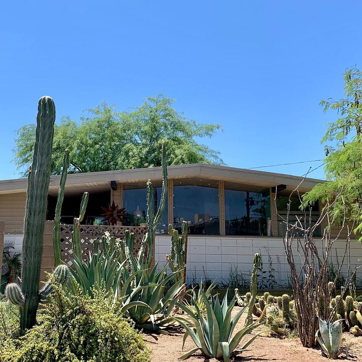 stunning desert landscaping ideas for front yard 7