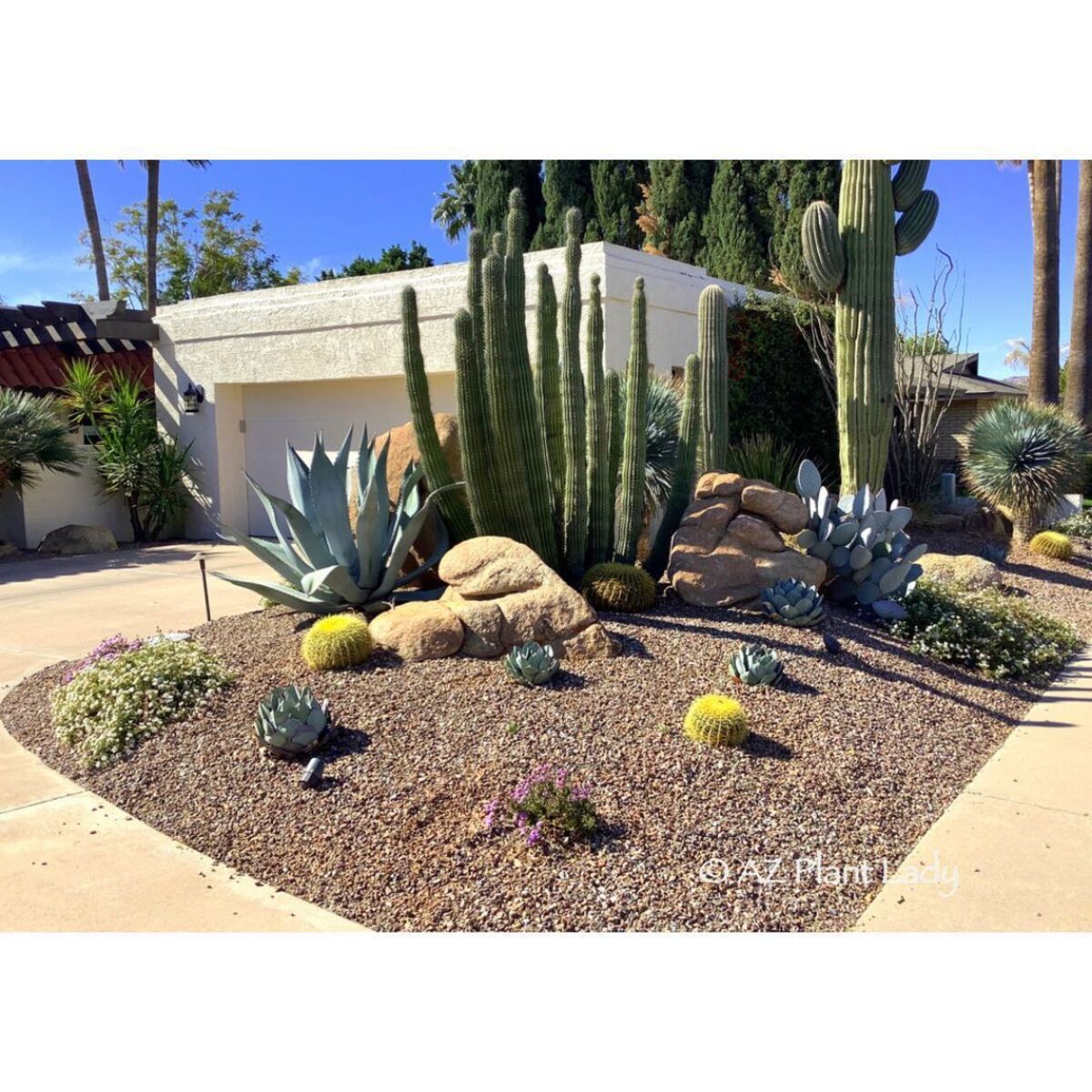 stunning desert landscaping ideas for front yard 8