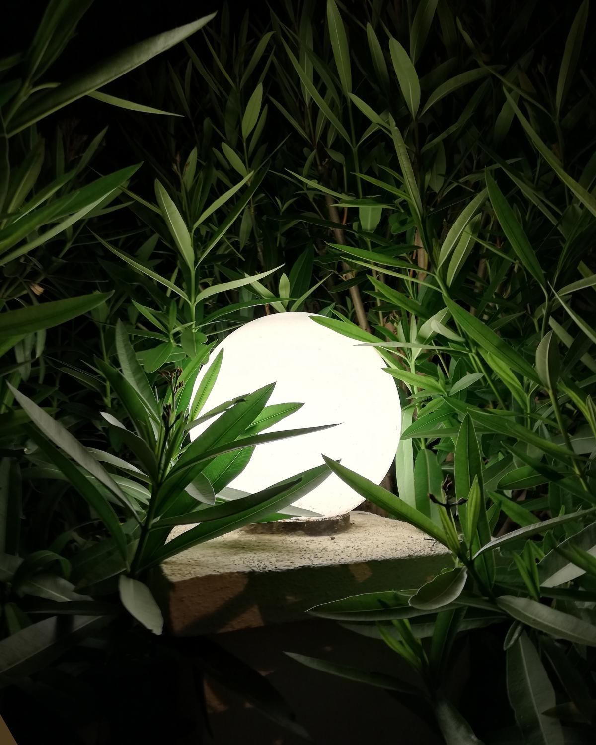 affordable garden lighting tricks 04
