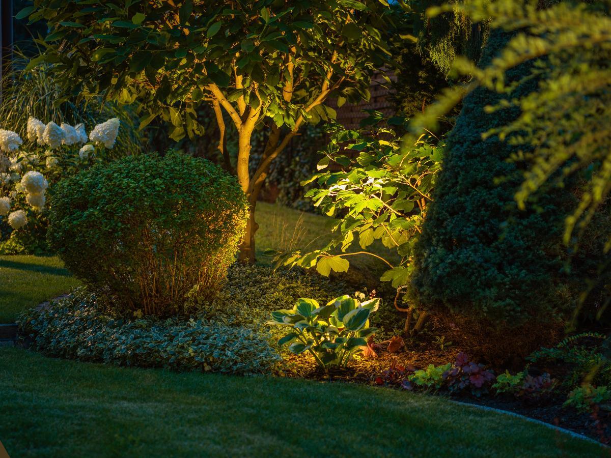 affordable garden lighting tricks 08