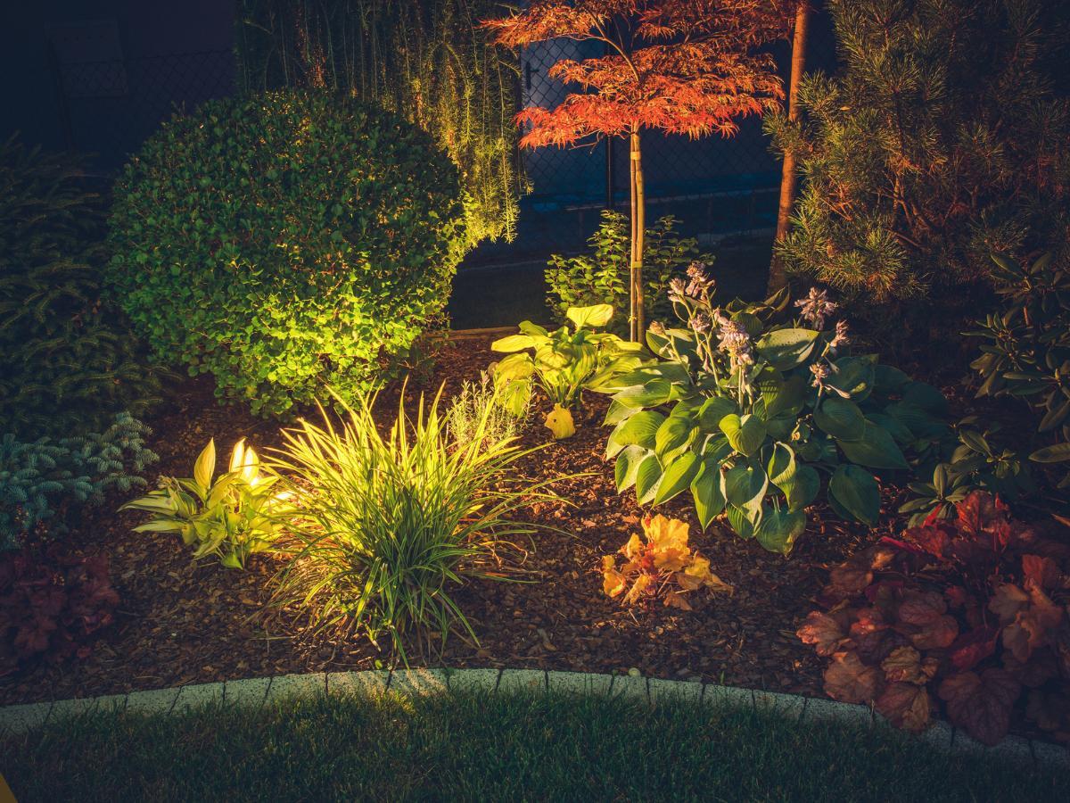 affordable garden lighting tricks 09