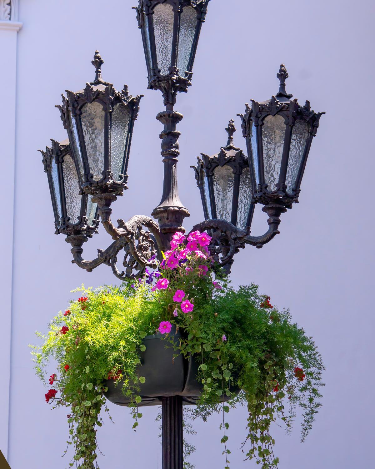 affordable garden lighting tricks 18
