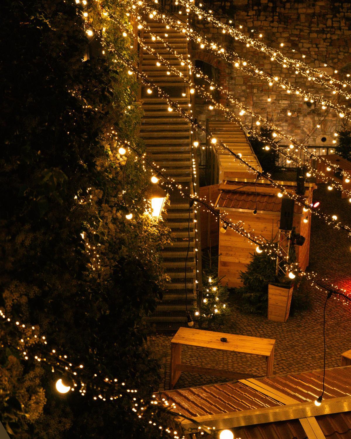 affordable garden lighting tricks 20