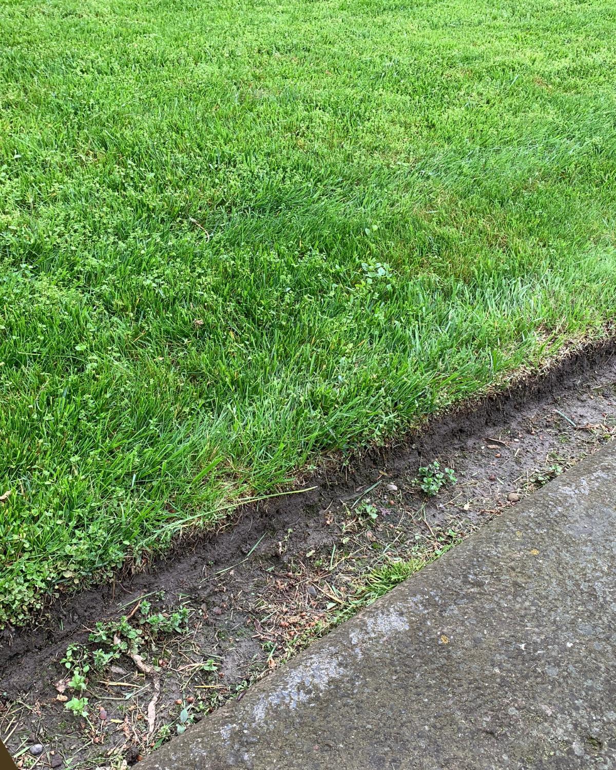 budget friendly landscaping borders 02