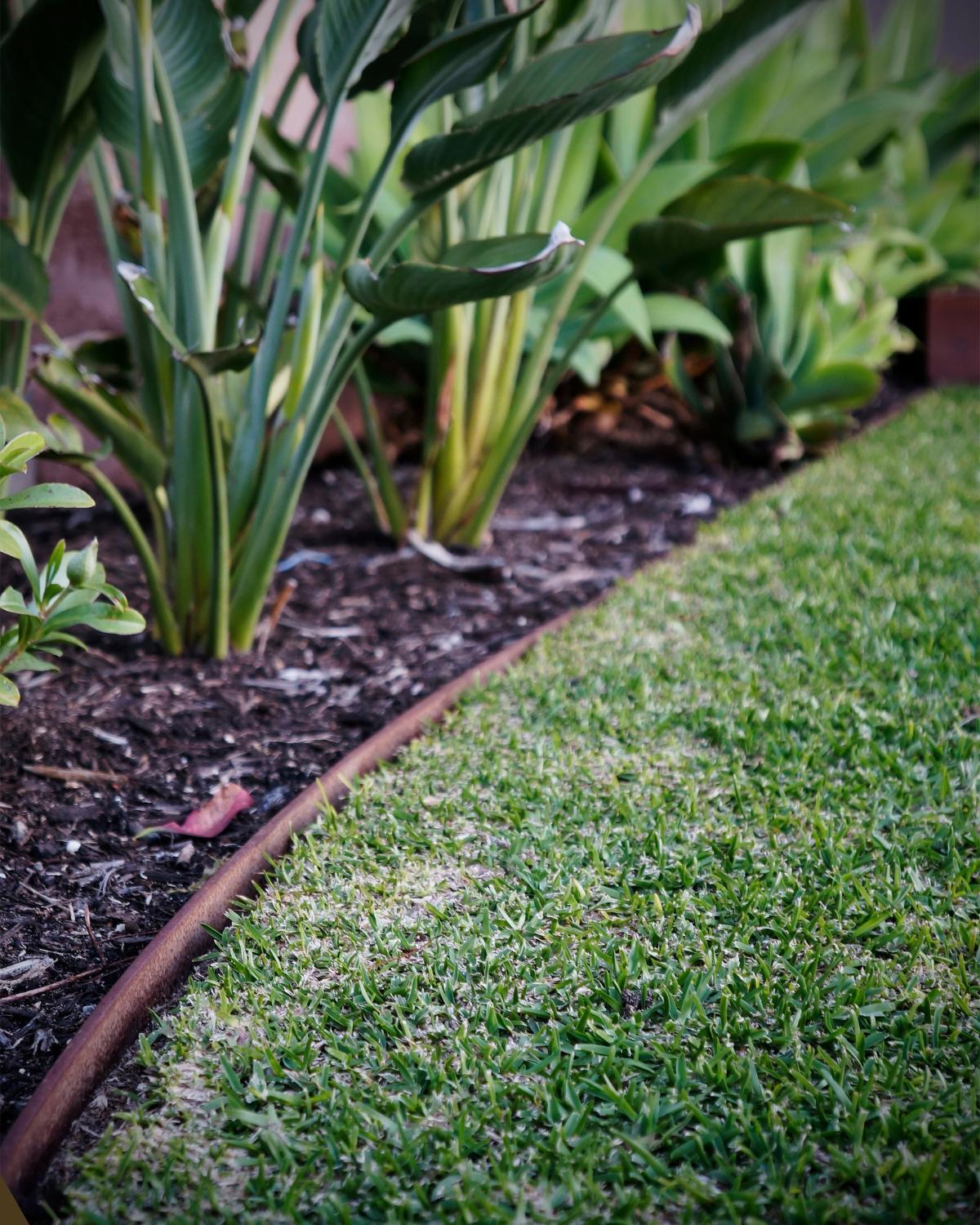 budget friendly landscaping borders 07