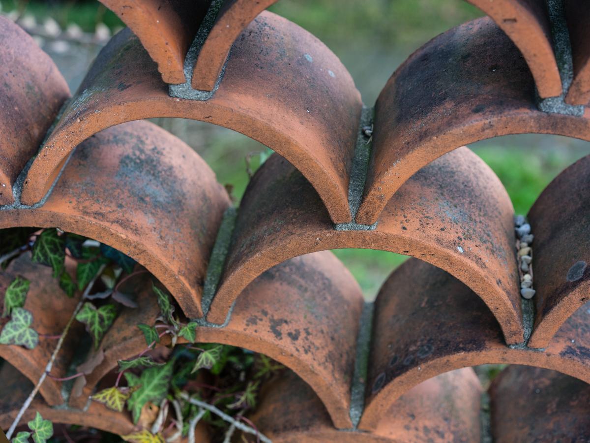 budget friendly landscaping borders 15
