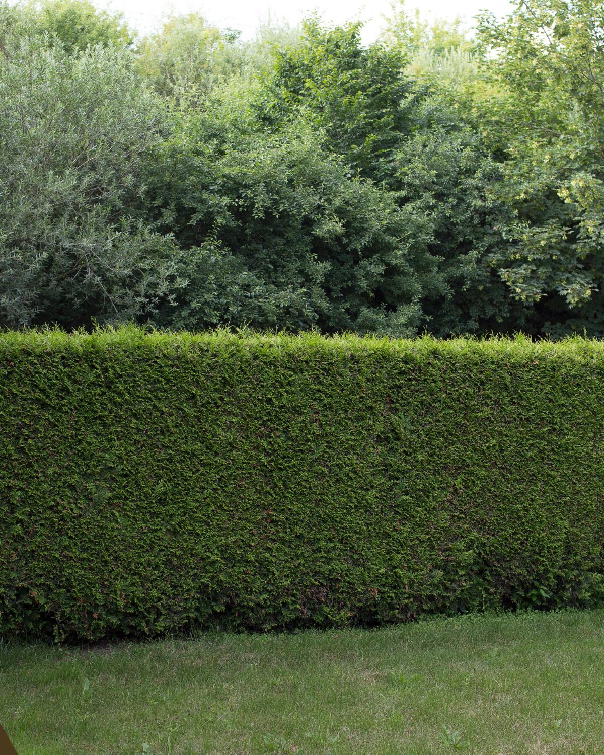 budget friendly landscaping borders 16