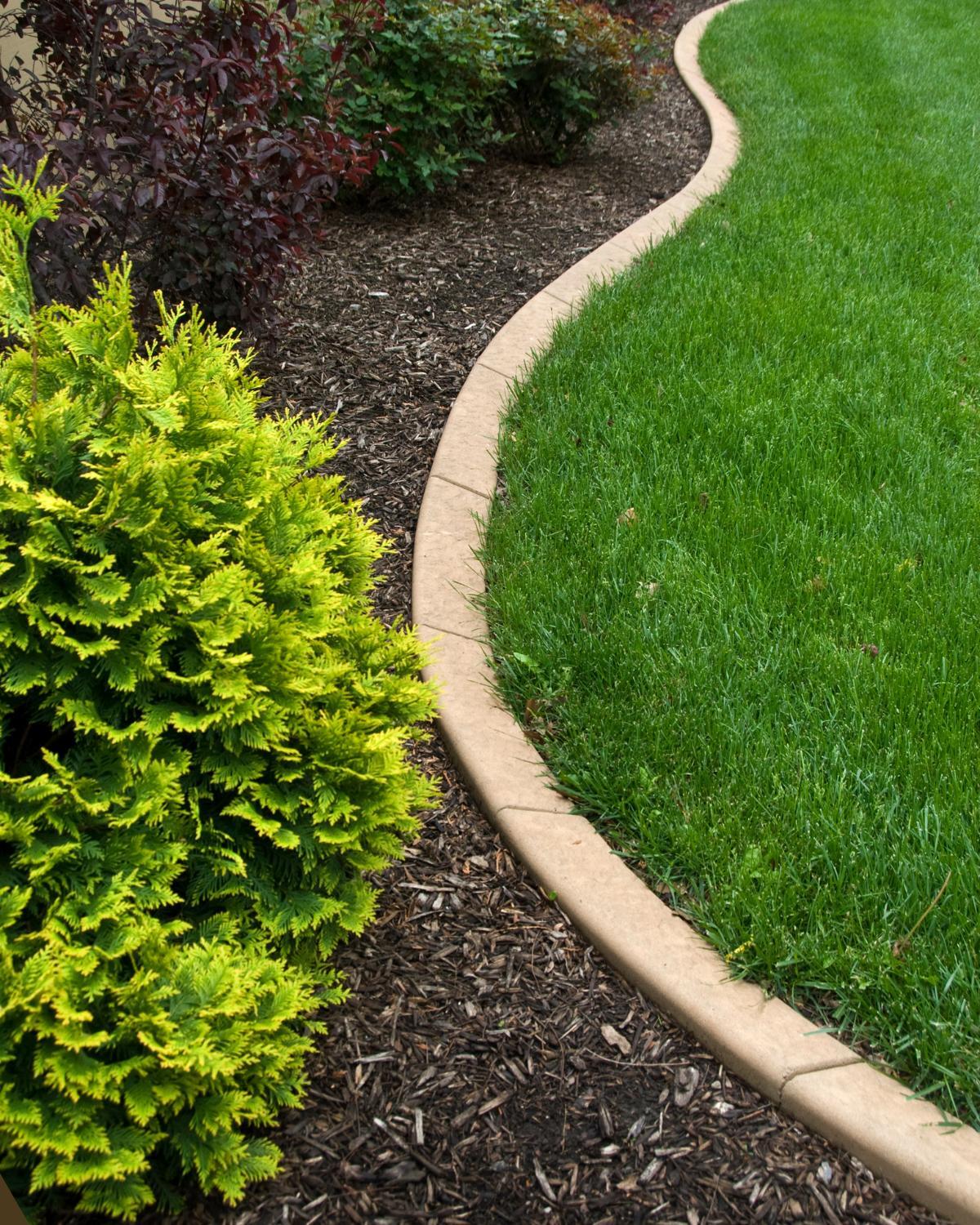 budget friendly landscaping borders 19