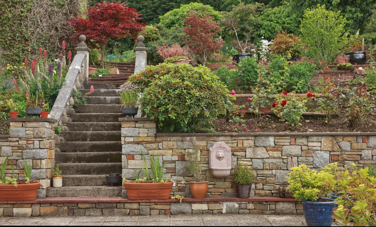 landscape border